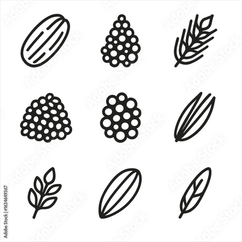 Icons farro millet bulgur oats brown grain quinoa rice rye whole vector