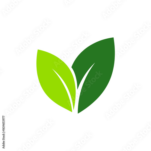 Two green leaves representing organic growth and natural health for environmentally conscious brands and sustainable initiatives worldwide