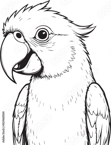 Parrot's Portrait: A detailed sketch of a parrot's head, showcasing its expressive eyes and curved beak, embodying the vibrant essence of the avian world.