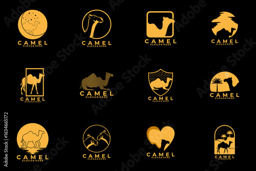 set of camel gold logo design vector template