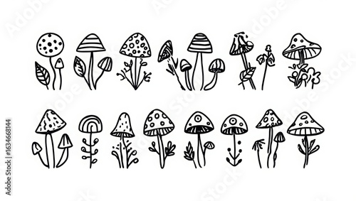 set of vector floral elements