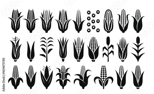 Diverse collection of stylized corn illustrations for agricultural and harvest themes