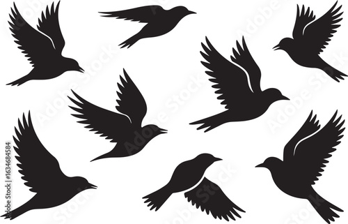 A collection of black bird silhouettes in various flight poses. Vector graphic illustration set of a flock of birds.