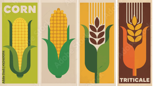 Four stylized agricultural crop posters corn wheat and triticale agriculture grain