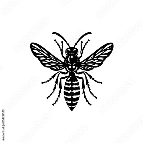 Wasp illustration