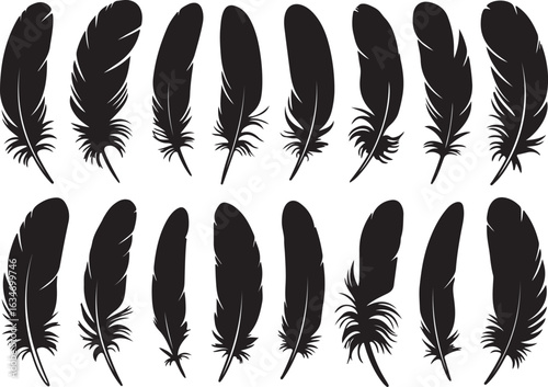 A collection of black feather silhouettes. Vector illustration set of various bird plumes isolated on a white background.