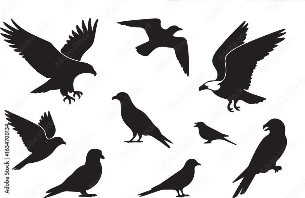 Obraz premium A diverse collection of bird silhouettes, including eagles, pigeons, and gulls. Vector icons set of flying and standing birds.