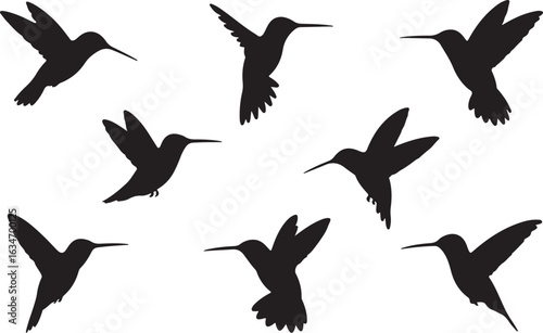 A set of hummingbird silhouettes in various flying and hovering poses. Vector graphic illustration collection isolated on a white background.