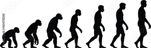 Silhouette illustration of human evolution, showcasing the transformation from early hominids to modern humans in progressive stages