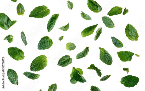 Wallpaper Mural Falling mint leaves spearmint on transparent background, png Torontodigital.ca