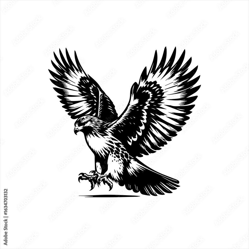 Obraz premium Eagle in flight illustration