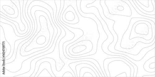 Abstract topography background. Topographic contour map subtle. Wavy paper curved reliefs White background. Geographic mountain relief curve lines background. Vector illustration.	