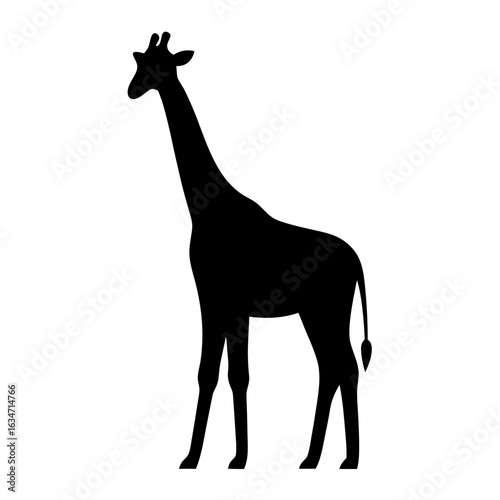 Giraffe silhouette icon for wildlife or safari themes, Black silhouette of a standing giraffe, commonly used in wildlife, safari, zoo, or nature-related illustrations and educational materials.
