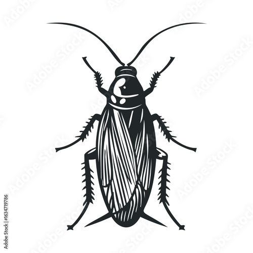 Detailed black and white cockroach illustration with antennae and wings