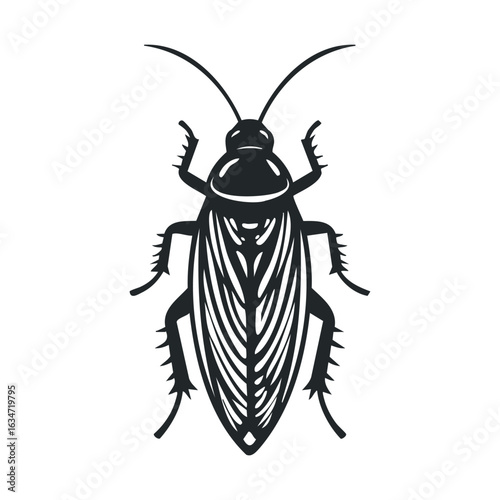 Detailed black and white cockroach illustration on white background
