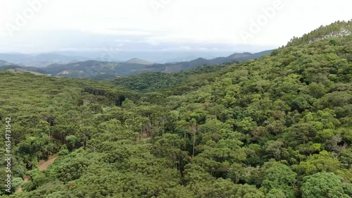 paisagem verde