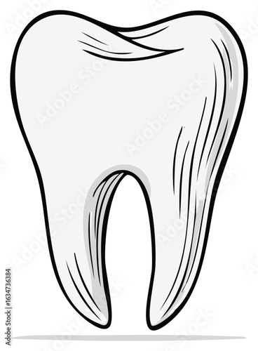 Cartoon Human Molar Teeth Depicts Oral Hygiene Medical Diagram for Education and Illustration of Dentist Checkup or Toothache