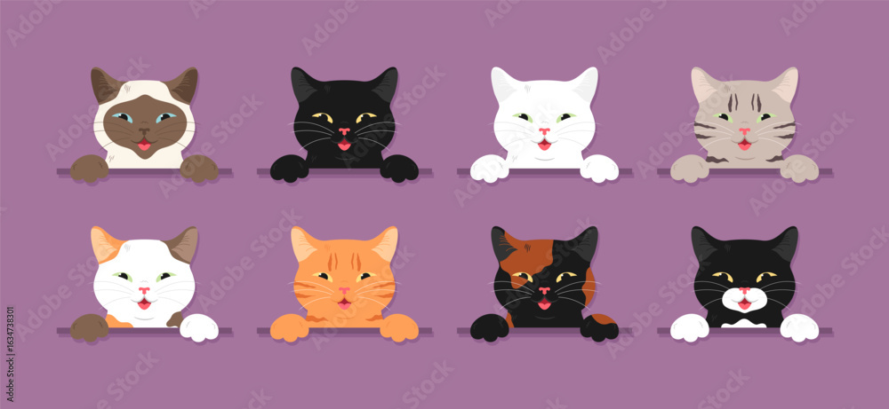 Cats with different fur colors. Cats of different colors. Vector illustration.