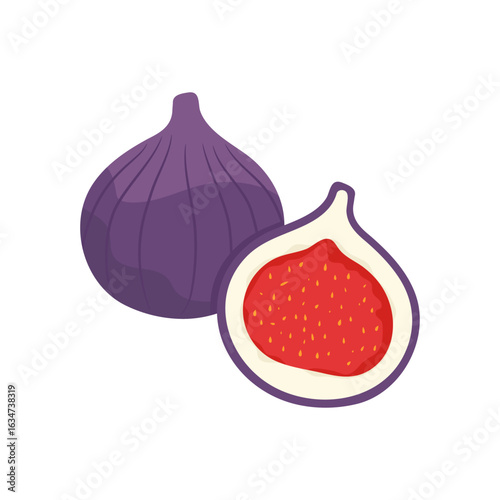 Hand drawn fig fruit isolated on white background. Cartoon fruit. Vector illustration