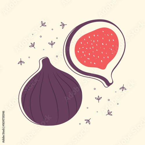 Hand drawn whole and sliced figs. Cartoon fig fruit. Vector illustration