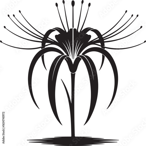 Vector silhouette illustration of a black and white lily flower design for a tattoo or ornament