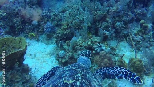 naufragio em alto mar