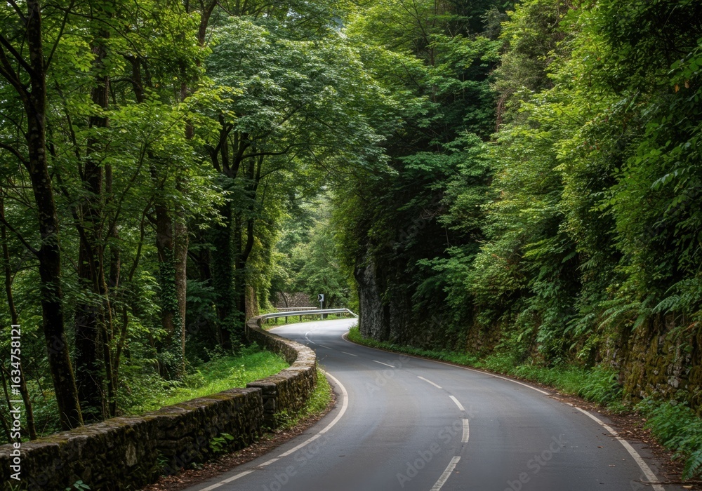 Obraz premium Winding road through a lush green forest tunnel of trees