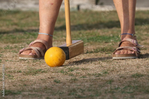 Obraz na płótnie Seniors playing croquet in summer sun