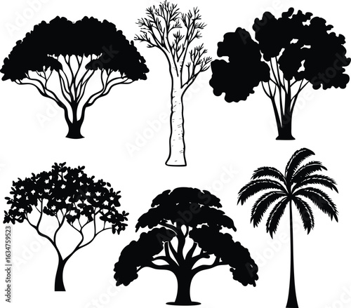 Silhouette Forest: A collection of diverse silhouette trees, each exhibiting unique branch patterns and foliage forms, arranged against an abstract backdrop.