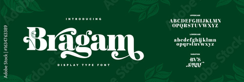 Luxury Fashion Font Alphabet. Elegant Classy fonts for fashion, lettering, logo, brand etc. Typography Typeface Uppercase Lowercase and Number. Editable Vector Illustration.