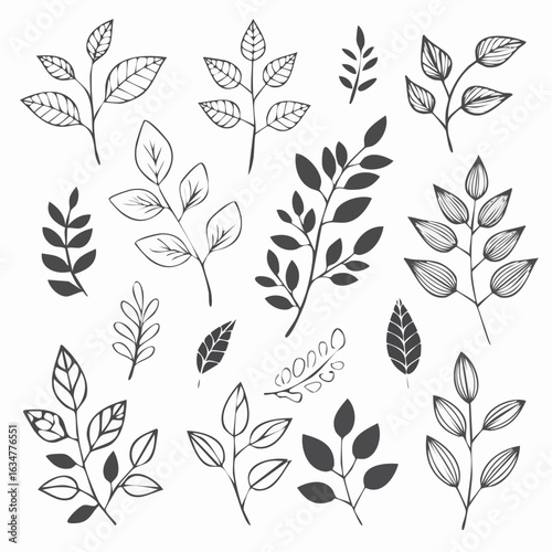 Monochrome minimalistische Blätter und botanische Zweige mit Stielen – Vektorillustration