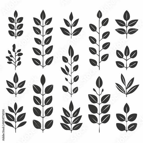 Monochrome minimalistische Blätter und botanische Zweige mit Stielen – Vektorillustration