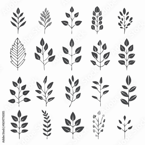 Monochrome minimalistische Blätter und botanische Zweige mit Stielen – Vektorillustration