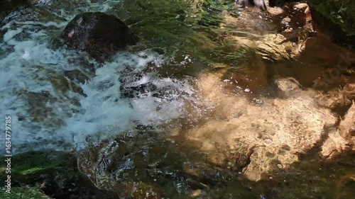 Golden sun reflections on clear mountain stream water over mossy rocks