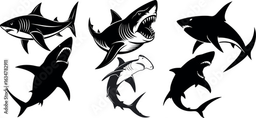 silhouette off Black tiger Shark Hammerhead shark set