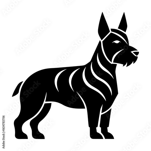 Elegant berger picard dog silhouette for graphic design