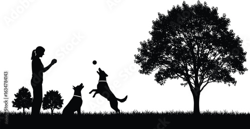 A woman enjoys a sunny day outdoors, playing fetch with her two energetic dogs in a park with lush green grass and shady trees, capturing a joyful and active scene.