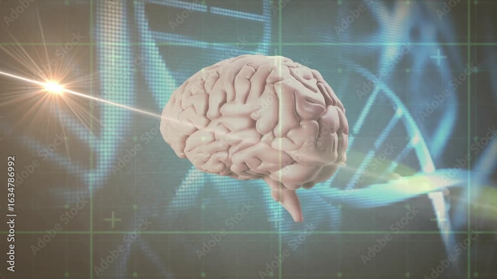 Upon starting, 3D human brain rotating left while golden beam scanning ...
