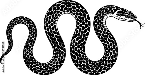 A detailed black and white illustration of a snake with a distinct scale pattern, coiled in an S-shape, its head raised and tongue flicking.