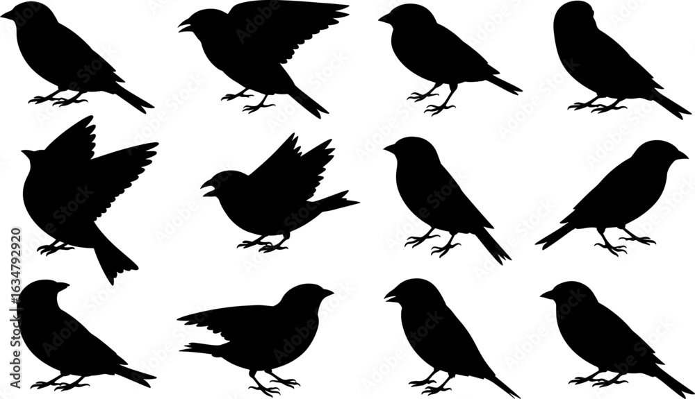 Fototapeta premium A collection of twelve black bird silhouettes in various dynamic and static poses.