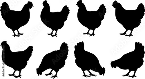 Eight black chicken silhouettes on a white background, showcasing various hen postures.
