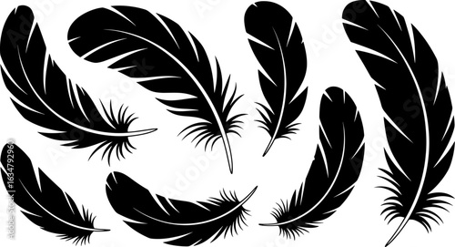 A set of black stylized feathers, illustrating their delicate and varied forms.