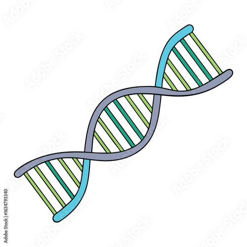 Intertwined DNA strands form the iconic double helix, carrying genetic instructions that define life, heredity, and biological functions in every living organism.
