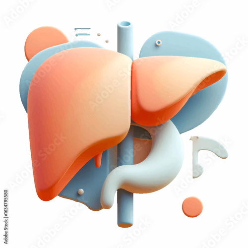 Stylized Liver and Stomach Illustration in Pastel Orange and Blue