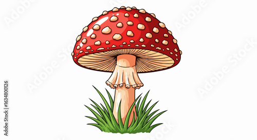 Illustrated red fly agaric toadstool with white spots, visible gills, and a skirt, emerging from a patch of grass.
