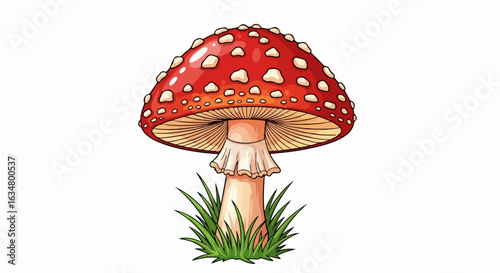 Illustrated red fly agaric mushroom with a glossy, white-spotted cap, detailed gills, and a skirted stem, growing in green grass.