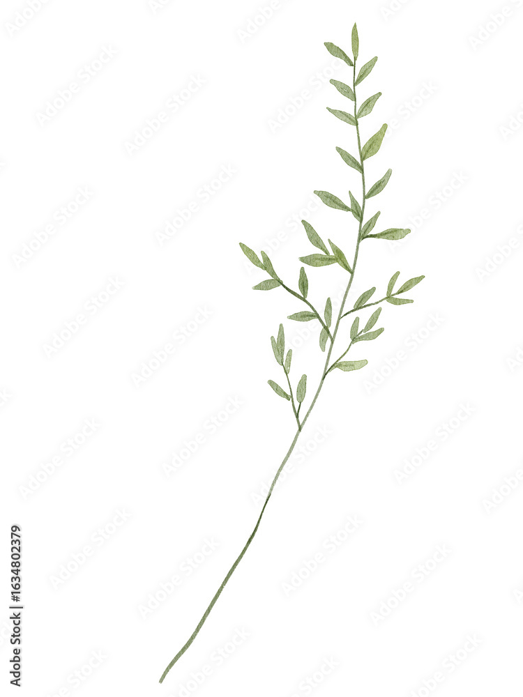 Fototapeta premium Watercolor Green Leaves Botanical Illustration