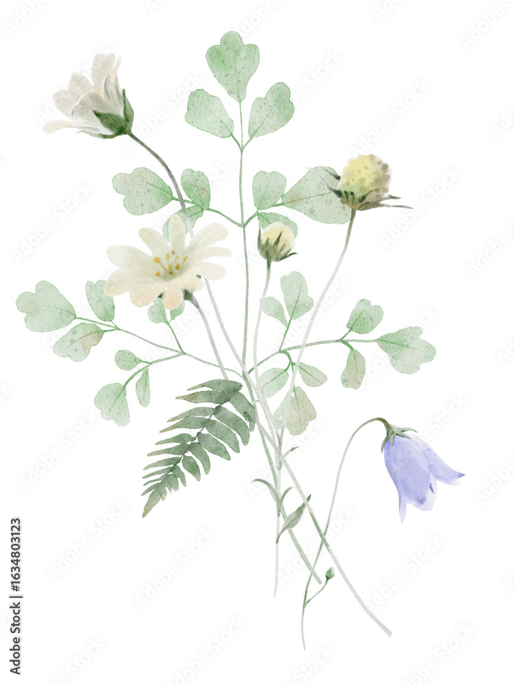 Obraz premium Watercolor Wildflower illustration