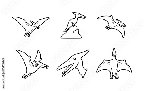 Various Pterodactyl illustrations in black and white, a historical creature.