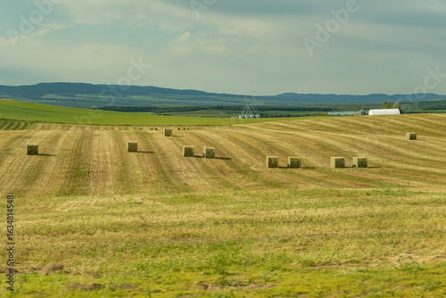 big square bales of hay lay in a field in Idaho with a hazy background